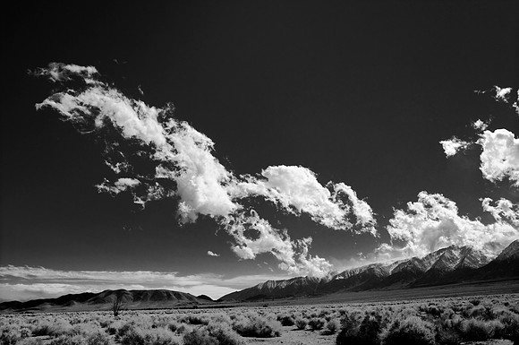 Clearing Storm #12, Manzanar 2011
