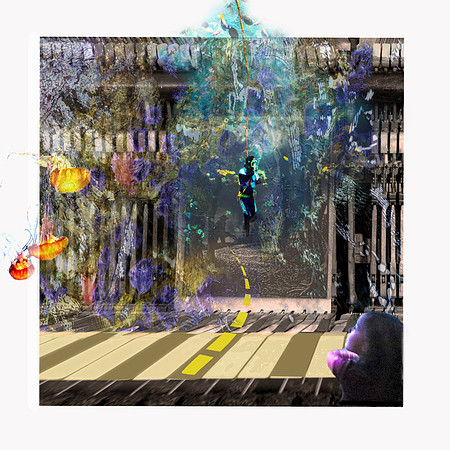 OCTOPUS'S GARDEN
