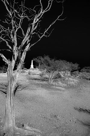 Cemetery Tree #2, Virginia City, NV 2010
