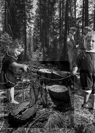 9 Family with seaweed, logged trees Sierra forest