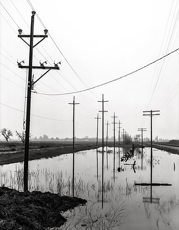 Overcast Perspective, Colusa, CA  1980s