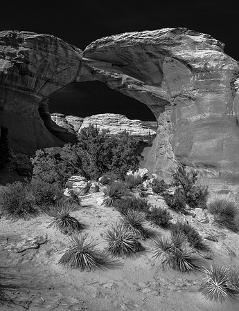 Arches National Park, UT 2006