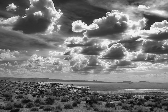 Petrified Forest, Arizona 2014