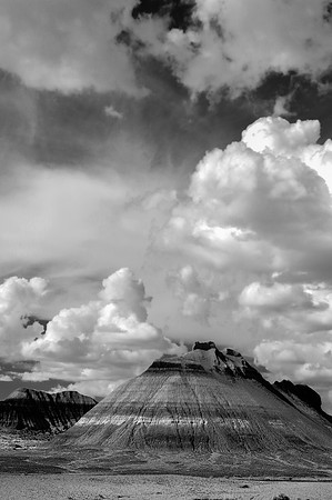 Petrified Forest, Arizona 2014