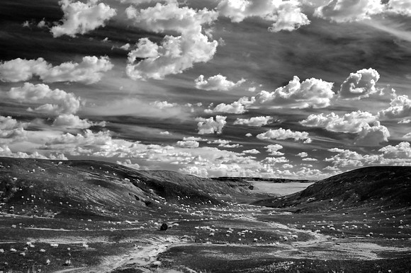 Petrified Forest, Arizona 2014