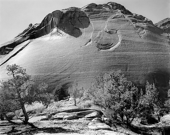 Zion, 1989