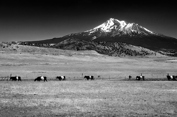 Mt Shasta