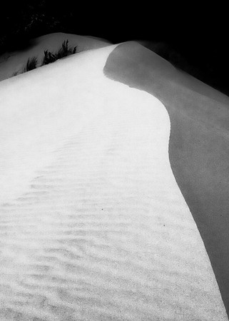 Dunes, Honeymann State Park, Oregon   2009