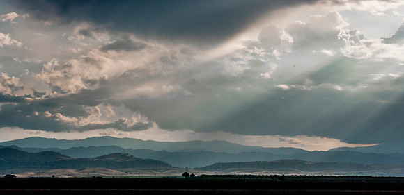 Sacramento Valley, California   2009