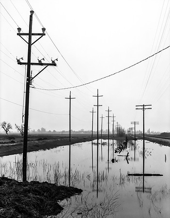 Overcast Perspective, Colusa, Sacramento Valley, California  1980s