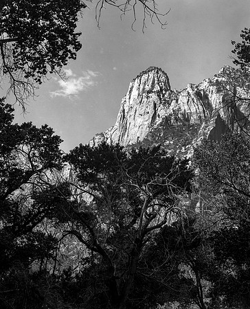 The Sentinal, Zion National Park, Utah,  1977