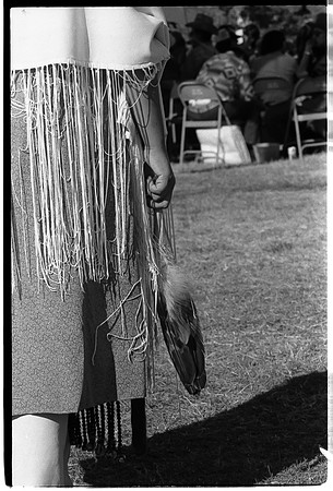 bPow Wow5