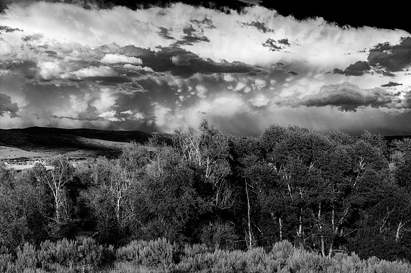 Clouds Aspens, Midway, Utah 2011