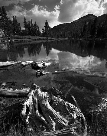 Ten Lakes, Tioga Pass, Yosemite National Park, California  1979