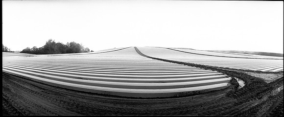 Strawberry field ready for planting, Watsonville, CA
